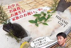 ひらめのギフトBOX(羽衣鮃の活き造り)