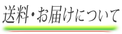 送料・お届けについて